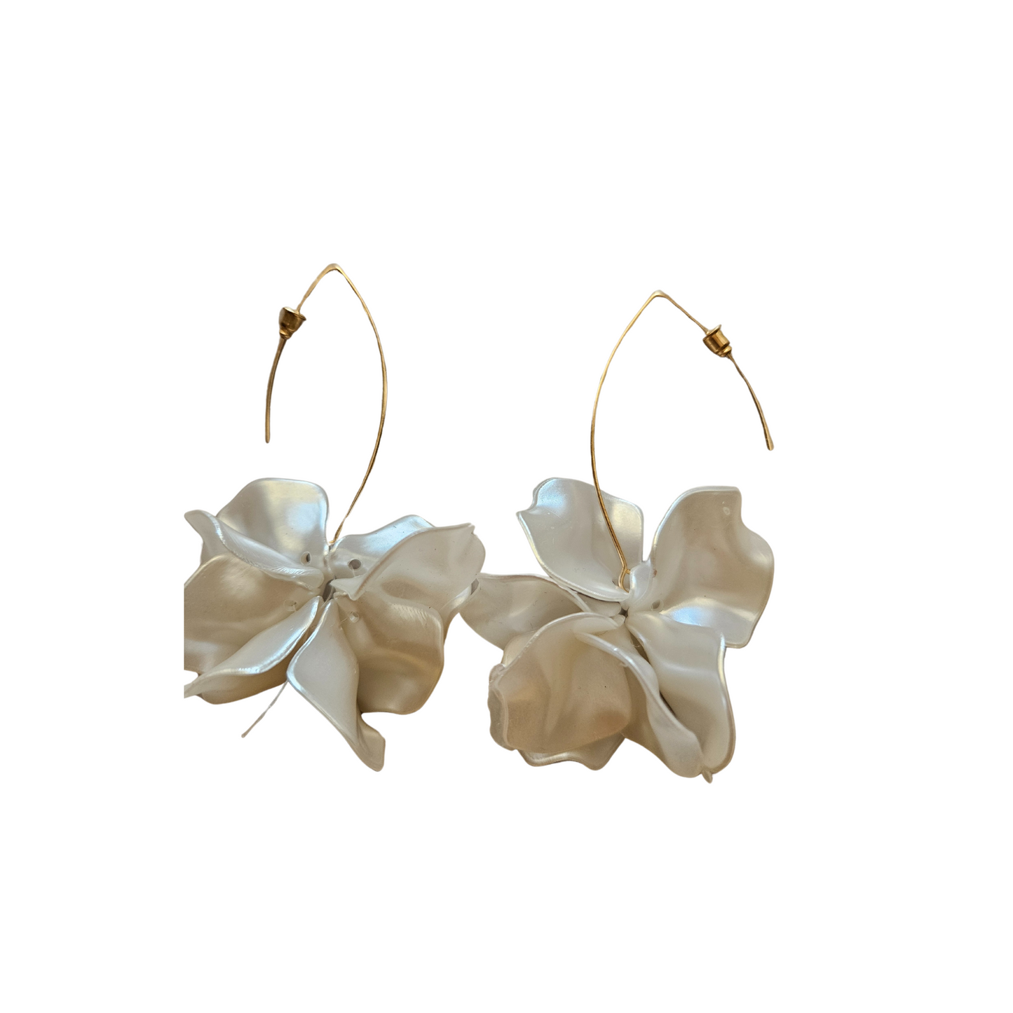 White Rose Flower Drop petal